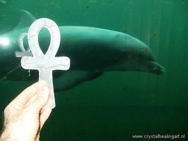 Ankh dolphin dolfijn healing 3